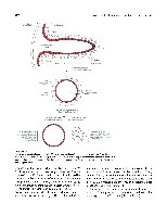 Bhagavan Medical Biochemistry 2001, page 281